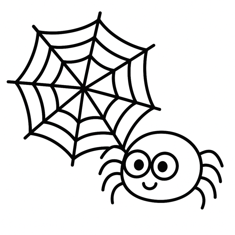 Explore o Desenho da Aranha Amigável com Teia