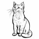 Gato realista para colorir
