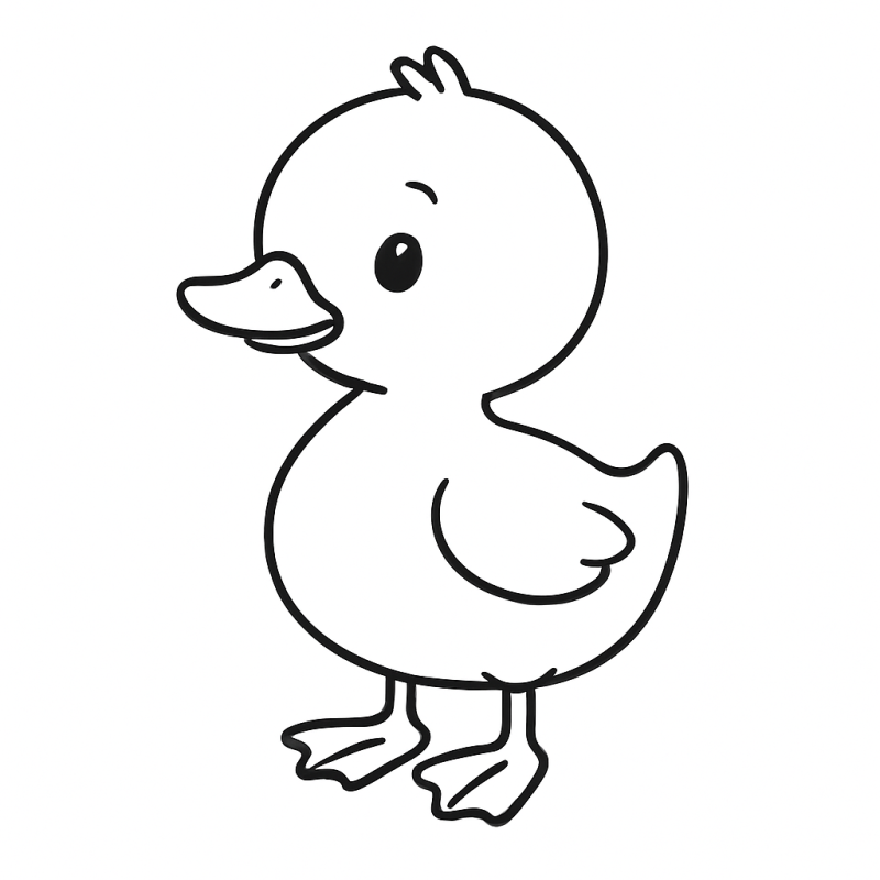 Desenho de Patinho da Fazendinha para Colorir