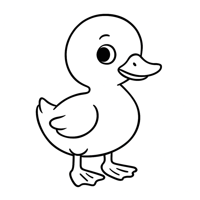 Pato Adorável para Colorir na Fazendinha