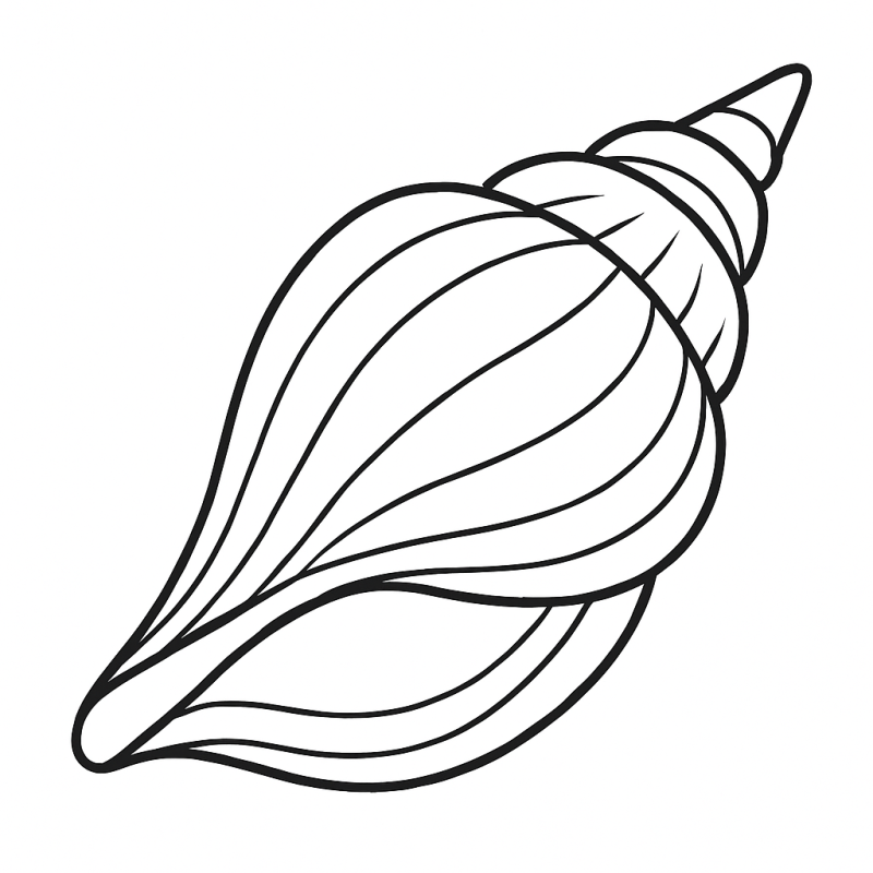 Desenho de Concha Espiral para Colorir, estilizada e elegante