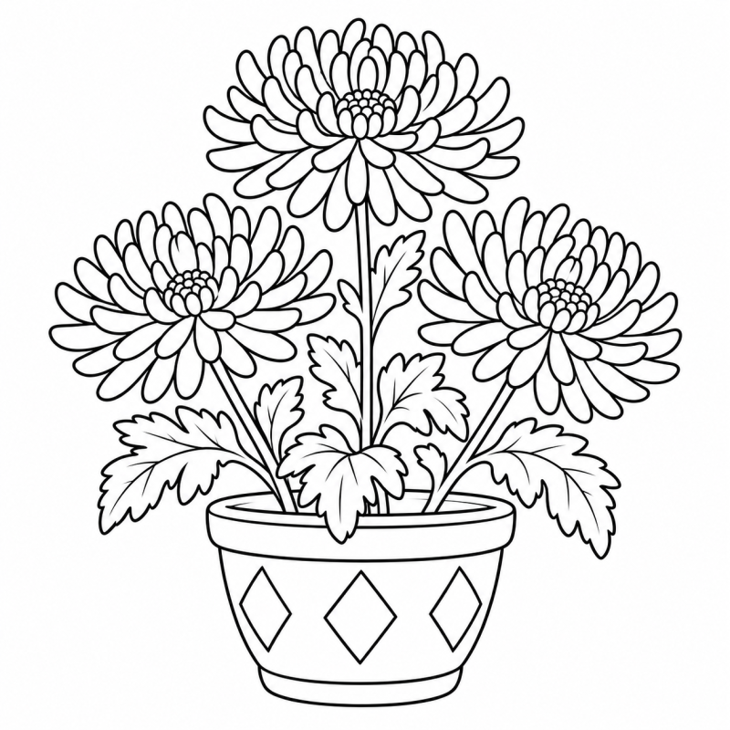 Desenho para colorir de crisântemos de pétalas compridas em um vaso decorado com losangos