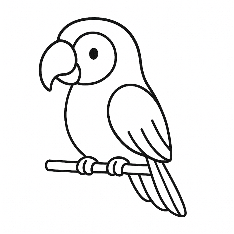Desenho de papagaio simplificado para crianças pequenas colorirem