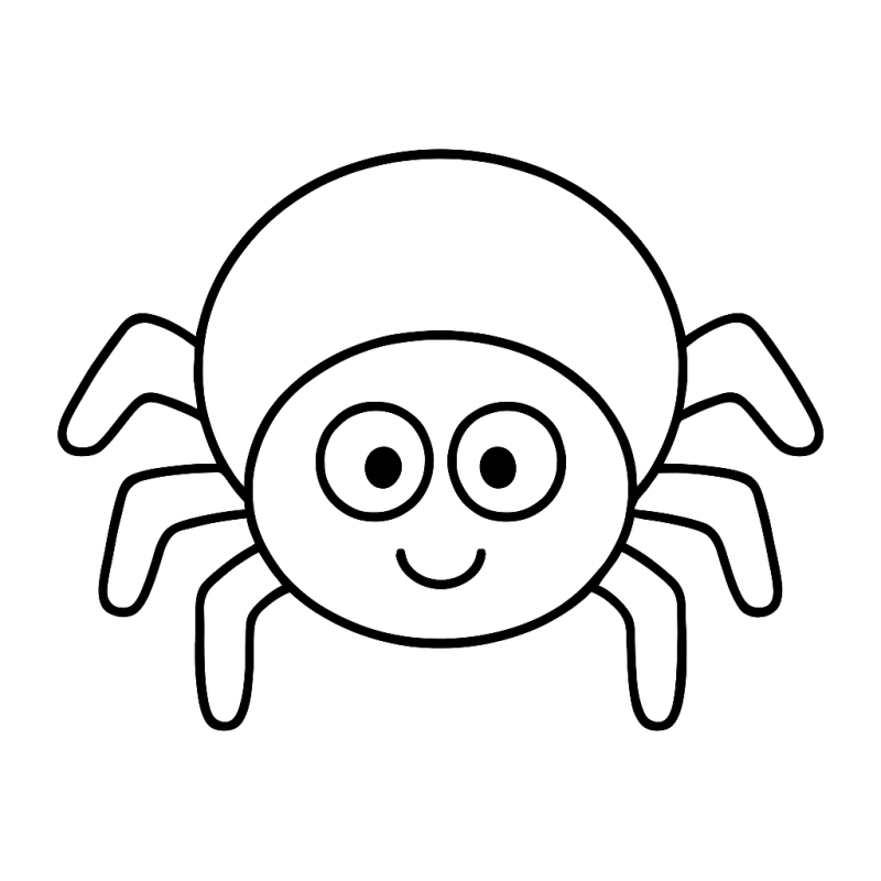 Divirta-se com Este Desenho de Aranha para Colorir