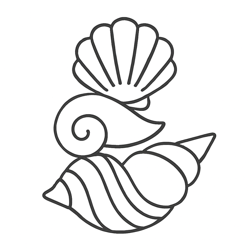 Desenho detalhado de conchas para colorir