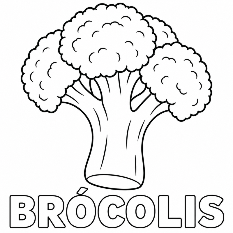 Um brócolis com copa ramificada e talo aparece acima da palavra BRÓCOLIS.