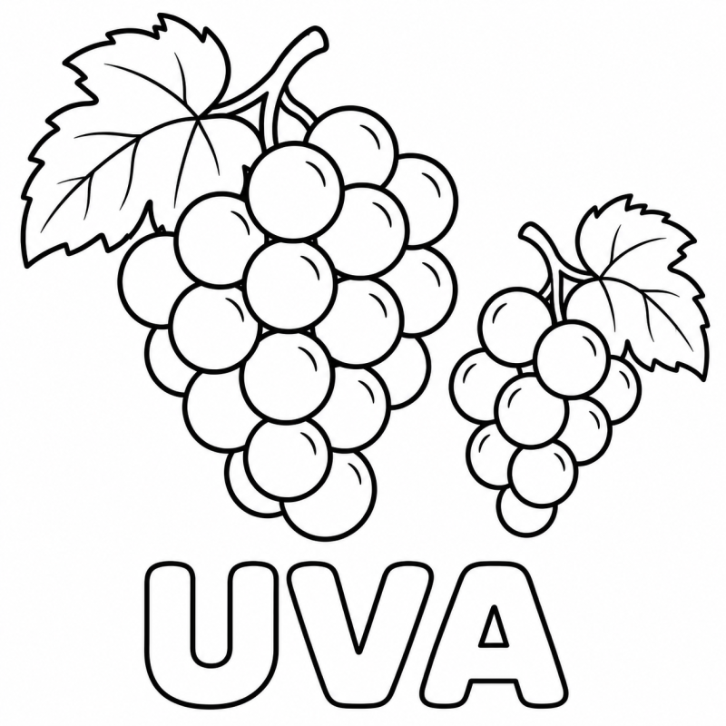 Dois cachos de uvas com folhas aparecem acima da palavra UVA.