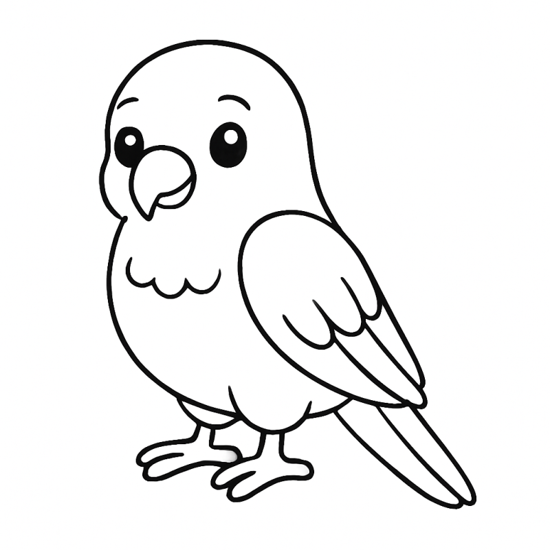 Desenho de um pássaro simpático para colorir